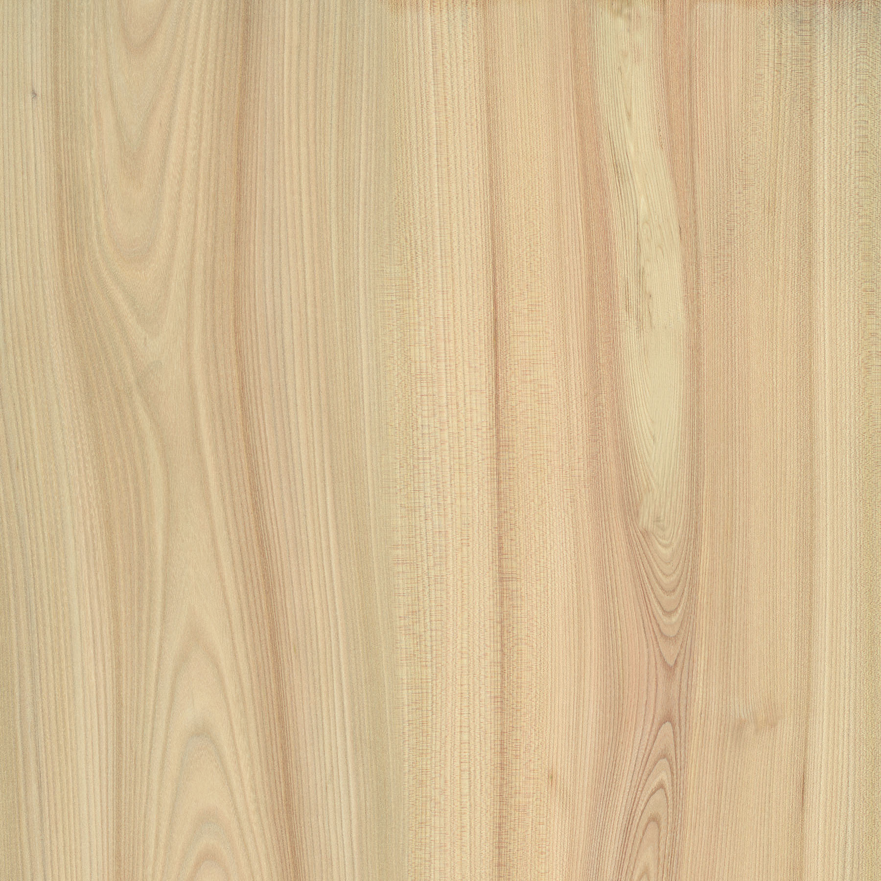 Ceramic tiles: Tuffguard