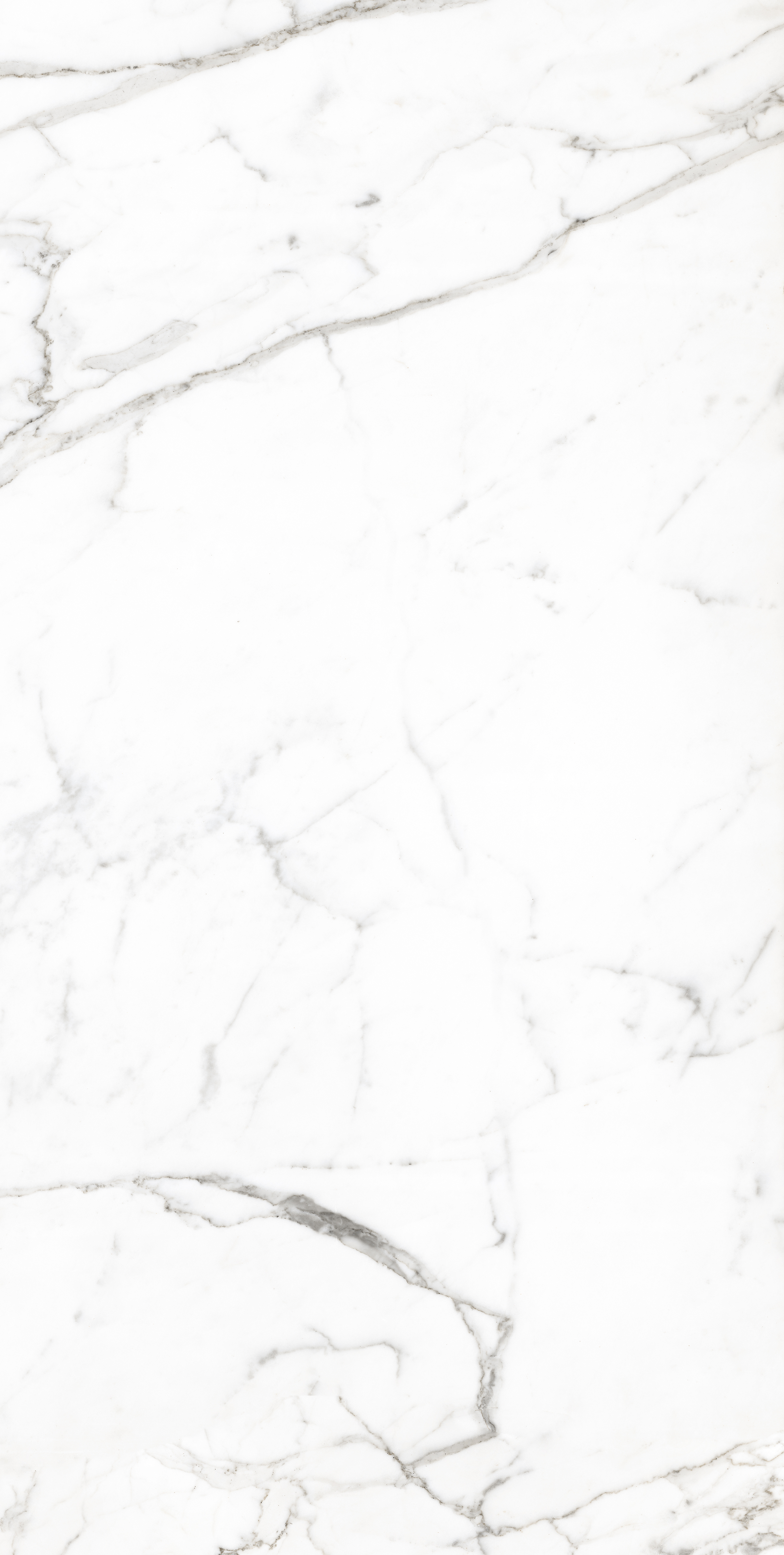 Ceramic tile: HD Porcelain